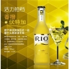 1014 6935145301023 RIO COCKTAIL (ORANGE E VODKA) 275ML