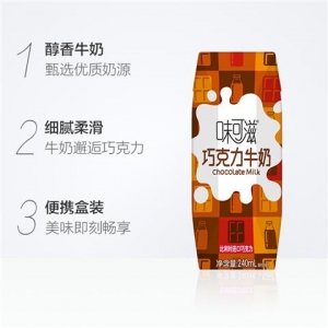 rbs25615f.jpg 25615 6907992513201 BEVANDA GUSTO CIOCOLATO WEIKEZI 240ML