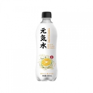 rbs34948f.jpg 34948 6970399920439 BEVANDA AL GUSTO AL CITRUS YUANQISHUI YQSL 480ML