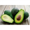 40766 9100000407661 AVOCADO FRESCO