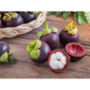 44136 8859696700075 MANGOSTEEN FRESCO SHANZHU 500G