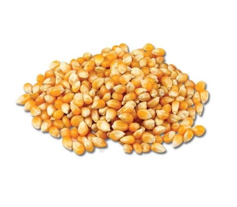 44669 8010100110174 LINA MAIS POP CORN 500G