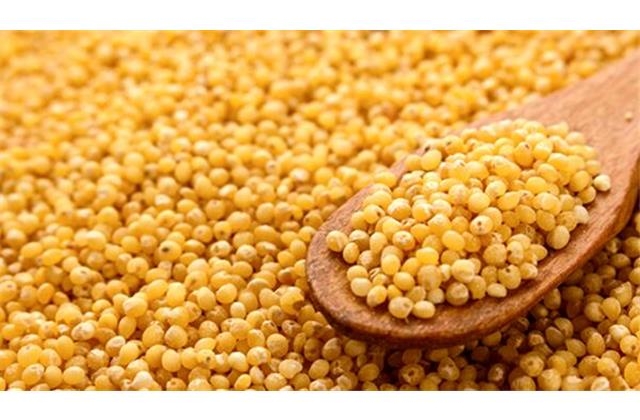 44671 8010100110297 LINA20 LINA MIGLIO DECORTICATO 500G