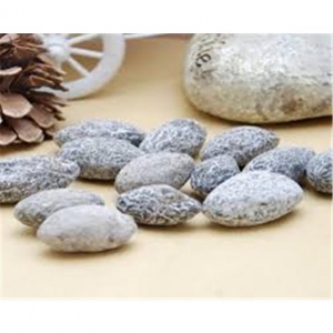 rbs44765f.jpg 44765 6921757584381 BICHIKE SNACK DI OLIVE 230G YANJIN GANLAN