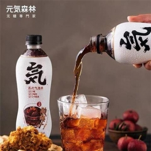 rbs44806f.jpg 44806 6970399921559 BEVANDA AL GUSTO PRUGNA YUANQISHUI YQSL 480ML