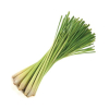 44873 00200421200 LEMON GRASS FRESCO 100G