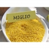 45483 8010870370037 MIGOD20 MIGLIO GIALLO (XIAOMI) 500G