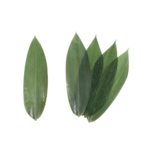 rbs46416f.jpg 46416 8020931040052 JVEG61 FOGLIE DI BAMBU SOTTOVUOTO M 28 32CM 7-8CM 400G