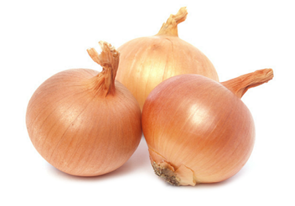 47647 9100000476476 CIPOLLA FRESCA DORATA 5KG