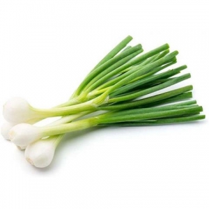 rbs48550f.jpg 48550 9100000485508 CIPOLLINA FRESCA 14 MAZZI