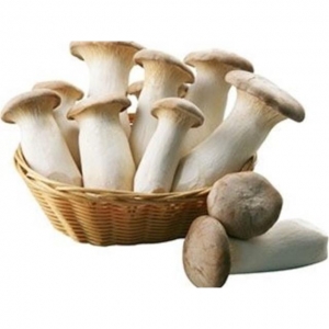 rbs48786f.jpg 48786 9100000487861 FUNGHI KING OYSTER AL PESO 200G