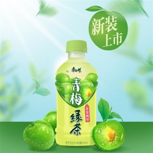 rbs52533f.jpg 52533 6920459951927 MR KONG BEVANDA THE PRUGNA QINGMEILUCHA 500ML