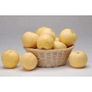 56731 6937374900220 PERE PYRUS PYRIFOLIA 3PZ TRAGO