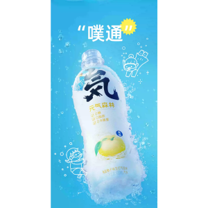 rbs57504f.png 57504 6970399926295 BEVANDA AL GUSTO POMPERMO SALE MARINO YUANQISHUI TQSL 480ML