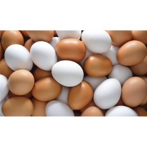 rbs7218f.jpg 7218 8018912051012 UOVA 180PZ FRESCHE