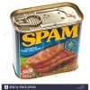 7515 037600209571 SPAM01 SPAM CHOPPED PORK AND HAM 340G