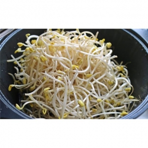 7555 9100000075556 075556 GERMOGLI DI SOIA FRESCHI 1KG